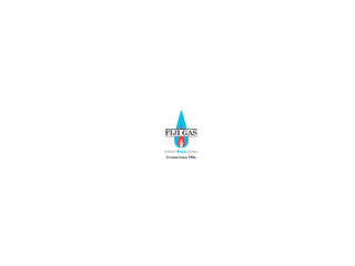 Logo Fiji Gas Ltd