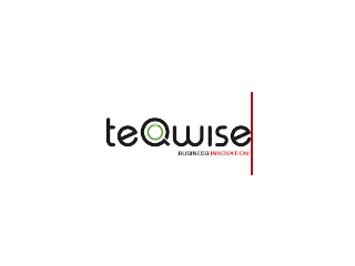Logo TeQwise Business Innovation