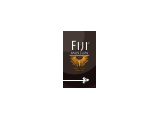 Logo Fiji Museum